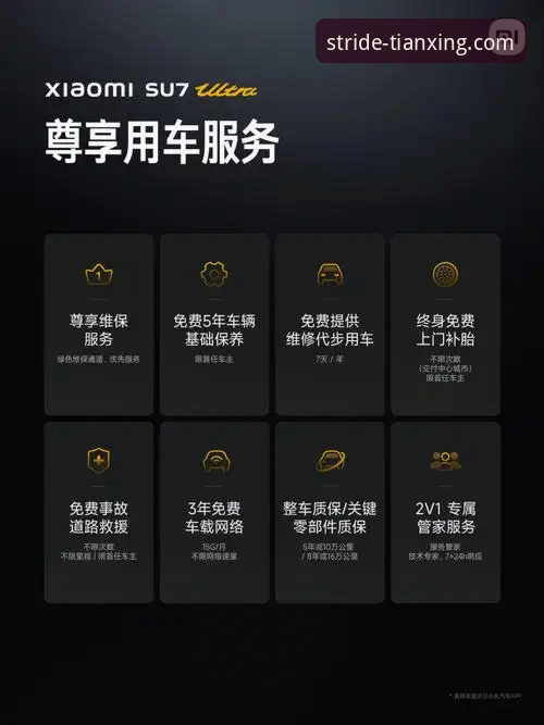 天行体育VIP哪个好 天行体育VIP选择指南:实战派详解哪个版本更适合你