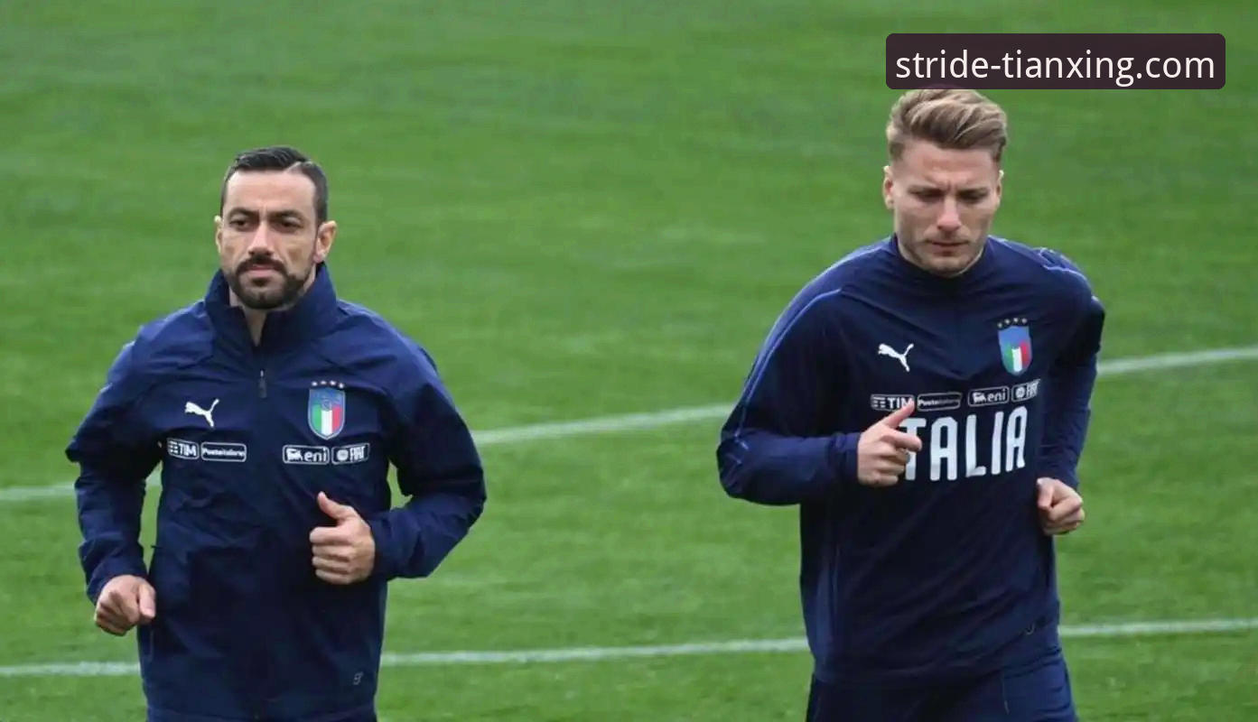 意大利梦碎波黑，天行体育平台深度解析蓝衣军团连续三届世预赛出局最新动态